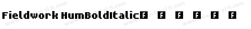 Fieldwork HumBoldItalic字体转换